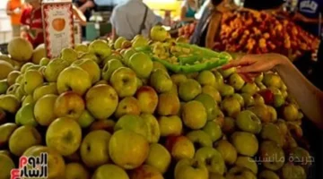 الكيلو بـ15 جنيهًا.. تراجع غير متوقع في أسعار الفاكهة اليوم قائمة محدثة بالأسواق 1